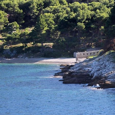 Apartments Zoki - Great Location Close To The Sea Vis Dış mekan fotoğraf