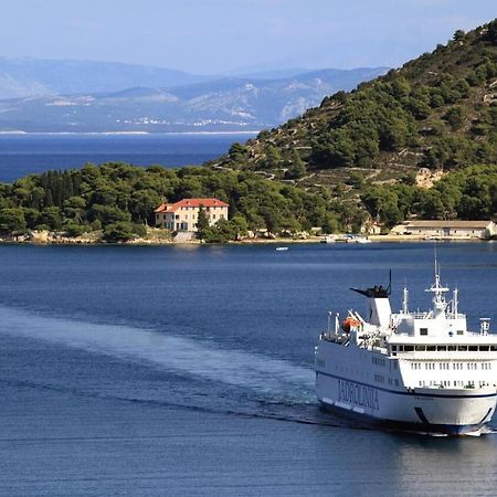 Apartments Zoki - Great Location Close To The Sea Vis Dış mekan fotoğraf