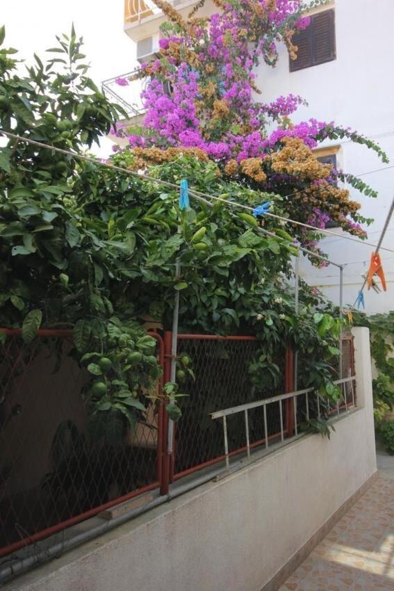 Apartments Zoki - Great Location Close To The Sea Vis Dış mekan fotoğraf
